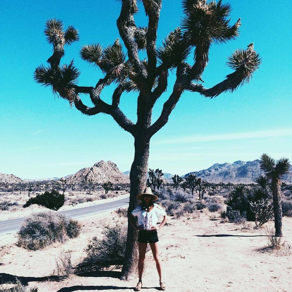 Meet your Posher, Eliza